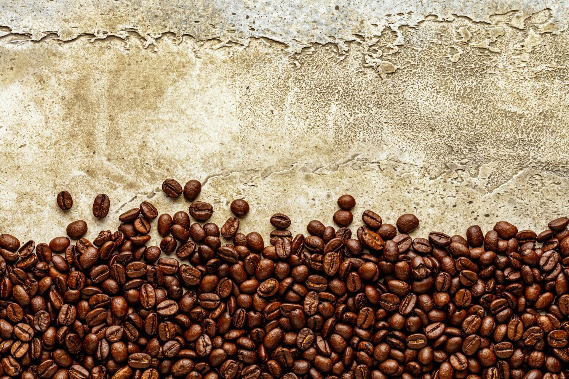 arabica ou robusta